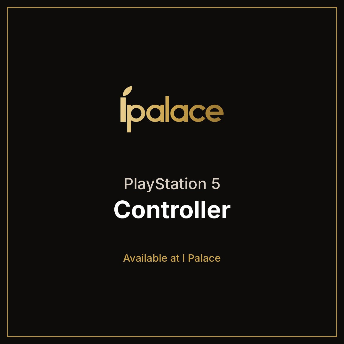 PS5 Controller
