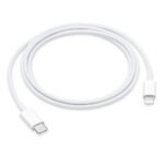 USB-C to Lightning Cable (1 m)