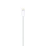 USB-C to Lightning Cable (1 m)