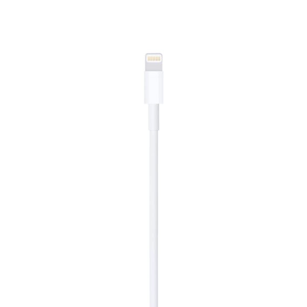 USB-C to Lightning Cable (1 m)